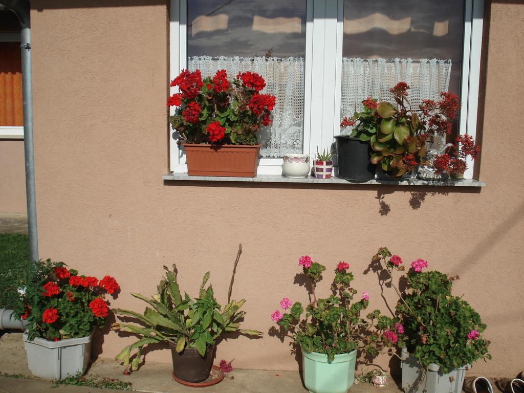 סליסטה דרזניקו Rooms Marica מראה חיצוני תמונה